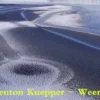 [Magic Video] Weerd by Kenton Knepper