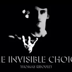 [Ebook] The Invisible Choice by Thomas Riboulet.