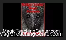 [Magic Video] What Tha II by Rodger Lovins ( Instant Download )