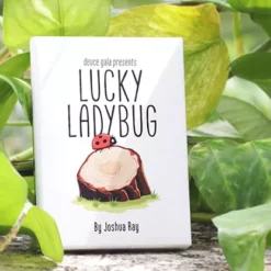 [Magic Video] Lucky Ladybug by Joshua Ray & Deuce Gala Magic.