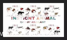 [Magic Video] Instinct Animal by Ragil septia & Qienoy Abrieant.