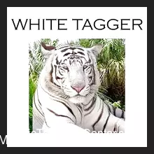 [Ebook|Exclusive] White Tagger by James Biss ( Instant Download )