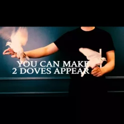 [Stage] Dove Book Lecture ( Nobody ) by C.Y.