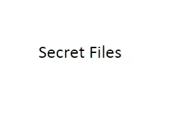 [Ebook|Exclusive] Secret Files by Vladimir Zyuzin ( Instant Download )