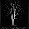 [Ebook] Sense and Meaning by Paralabs (2012 Lecture Notes , Instant Download )