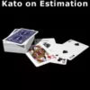 [Magic Video] Kato on Estimation by Hideo Kato