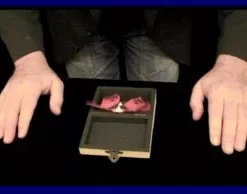 [Magic Video] Artmik Teaser Origami fly