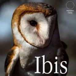 [Ebook] Carlos Emesqua – Ibis