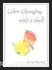 [Magic Video] Color Changing with a Shell