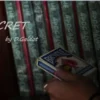 [Magic Video] D.Galdot – Secret (Instant Download)