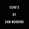 [Ebook] [Ebook] Sam Wooding – Echo’s