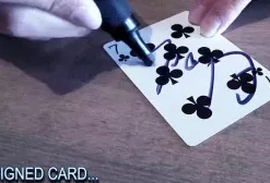 [Magic Video] FLASHBACK by Mickael Chatelain