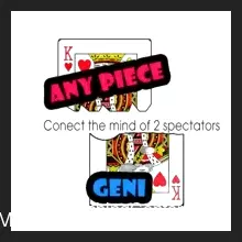 Geni – Any Pieces (Instant Download)