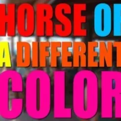 [Magic Video] Horse of a Different Color by Dave Johnson