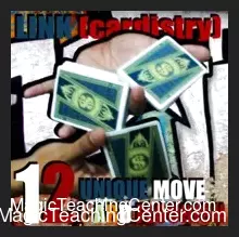 LINK (cardistry project) by SaysevenT (Instant Download)