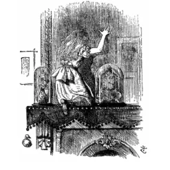 [Ebook] Gabi Pareras - Through the Looking Glass.