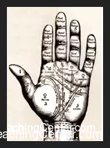 [Magic Video] Magician's Guide to Palm Reading (Instant Download)