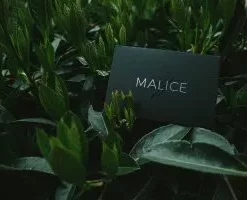 [Magic Video] Malice by Lost Art Magic
