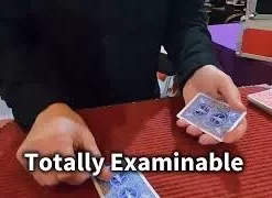 [Magic Video] [Magic Video] Paul Gordon's - Holy Sh*t ( Instant Download )