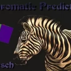 [Magic Video] Nefesch - Achromatic Prediction