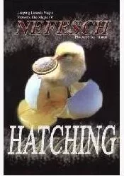 [Magic Video] Nefesch - Hatching