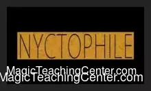 NyctoPHile by PHOntheroof and Nonplus Productions