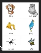 [Magic Video] Pet Readings 4 Mind-Readers by Paul Voodini