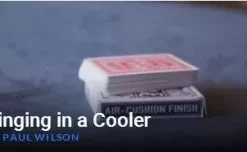 [Magic Video] Ringing in a Cooler by Paul Wilson