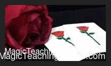 Magic Eye & Magiclism – Rosy – (gimmicked cards not included)