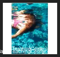 [Ebook] Sync by Fraser Parker ( Instant Download )