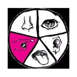 [Ebook] Ran Pink – Tactilis (original pdf)