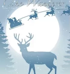 [Ebook] The Jerx - Newsletter December 2020 - The Wanderer Issue 9