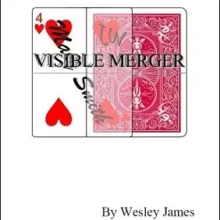 [Ebook] Wesley James – Visible Merger (official PDF)