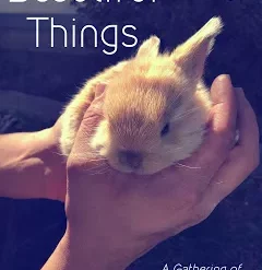 [Ebook] Beautiful Things by Jerome Finley.