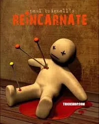 [Ebook] Paul Brignall - REiNCARNATE Book Test