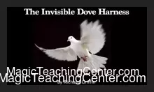 [Magic Video] Dove Holder & Invisible Dove Harness by Richard Griffin.