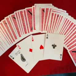 [Magic Video] Magia Estudio - Grandes rutinas de la cartomagia ( Instant Download )