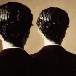 [Magic Video] Magia Estudio - Todo dorsos ( Instant Download )