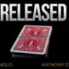 [Magic Video] Released by Manolo & Anthony Stan ( Instant Download )