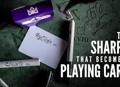 [Magic Video] Daniel Madison - MAGIC SHARPIE Gaff Card Workshop ( Instant Download )