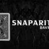 David Davis - Snaparition
