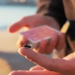 [Magic Video] Marcos Waldemar & Invisible Compass - The Fly Lite ( Instant Download )