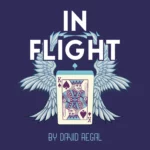 David Regal - In Flight ( Instant Download )