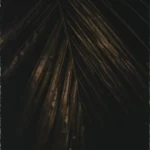 Lewis Le Val - Natural Magic ( Instant Download )