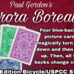 Aurora Borealis by Paul Gordon ( Instant Download )