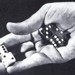 Steve Forte Special Report #10 Cover: Dice Switching Techniques