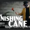 The Vanishing Cane by Bojan Barisic - Instant Download