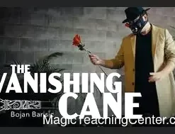 The Vanishing Cane by Bojan Barisic - Instant Download
