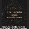Ebook cover for Robert E. Neale's Astonishing Essays, Volume 5: The Trickster Spirit. Digital download available instantly.