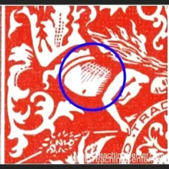 Cover image for Steve Forte's Magic Video Special Report #2 on Marked Cards, November 2024 - Instant Download